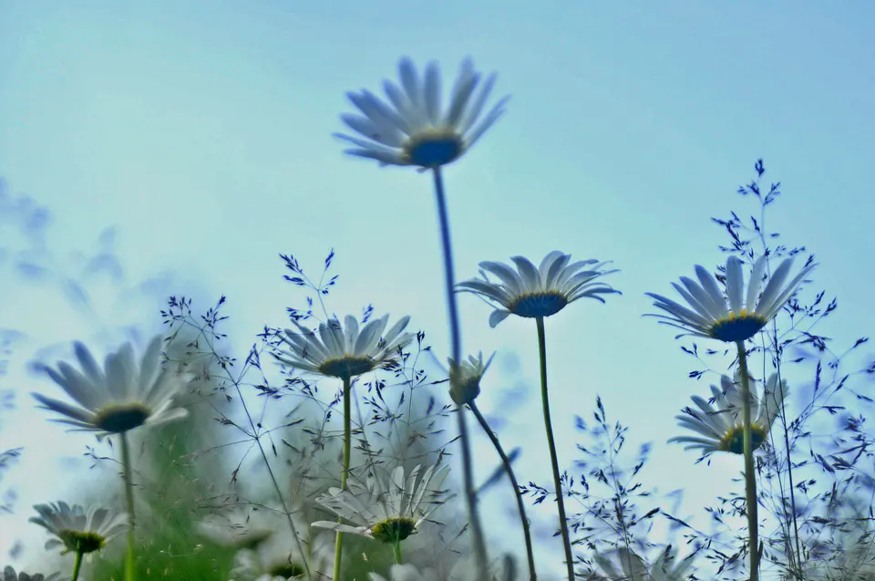 Portfolio photograph No. 30