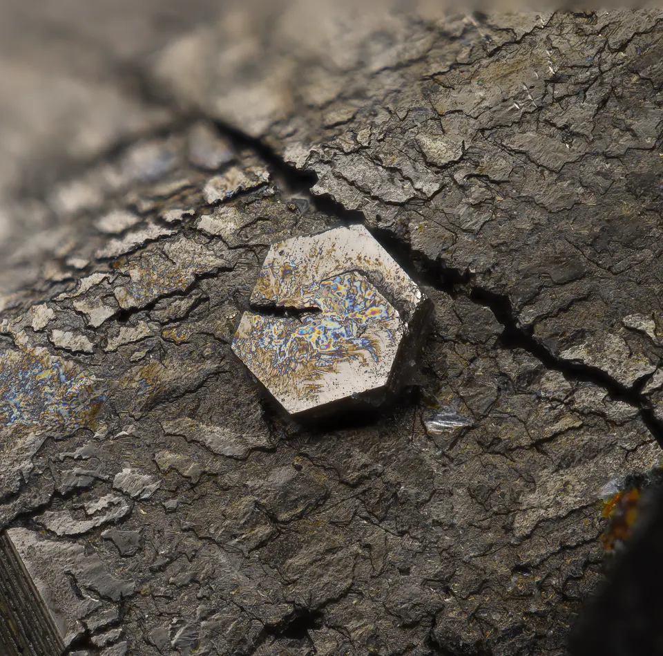 Portfolio photograph No. 40
